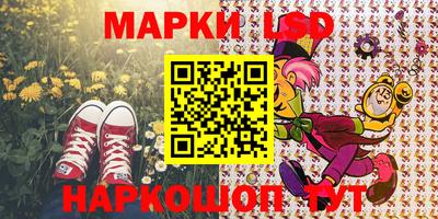 СК Краснодар