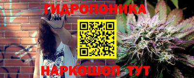СК Краснодар